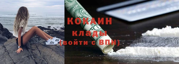 дурь Инсар