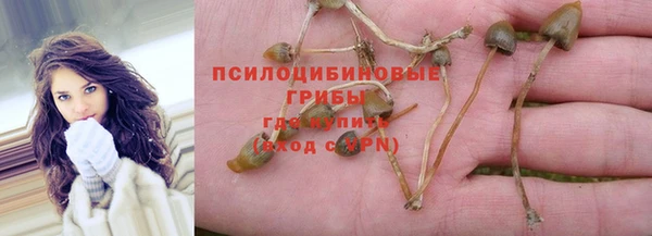 дурь Инсар