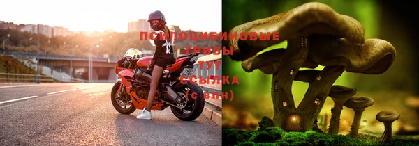 кокс Инта