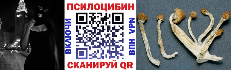 ОМГ ОМГ tor Новороссийск Псилоцибиновые грибы мицелий хочу