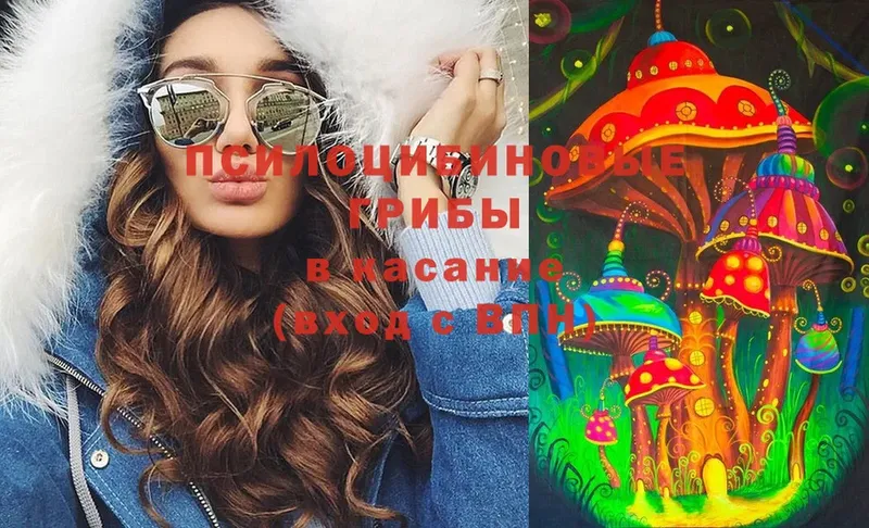 Галлюциногенные грибы Magic Shrooms  купить наркоту  Новороссийск 