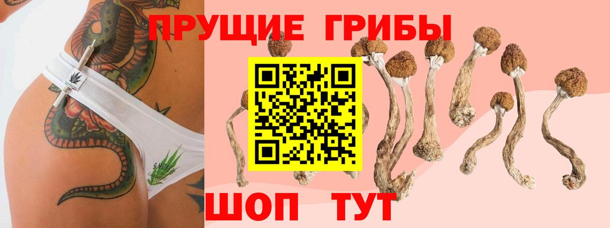 Галлюциногенные грибы прущие грибы Новороссийск