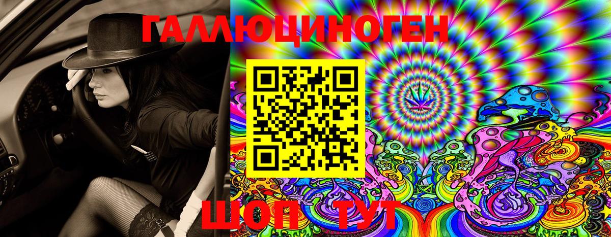 Псилоцибиновые грибы Cubensis  Вход с VPN  Новороссийск  Псилоцибиновые грибы мухоморы 
